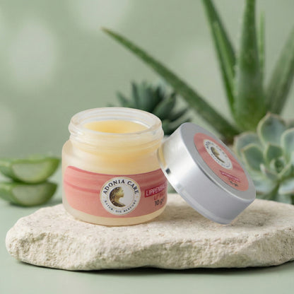 Adonia Care Lippenbalsam mit Shea-Butter & Marulaöl – intensive Lippenpflege (5 g)